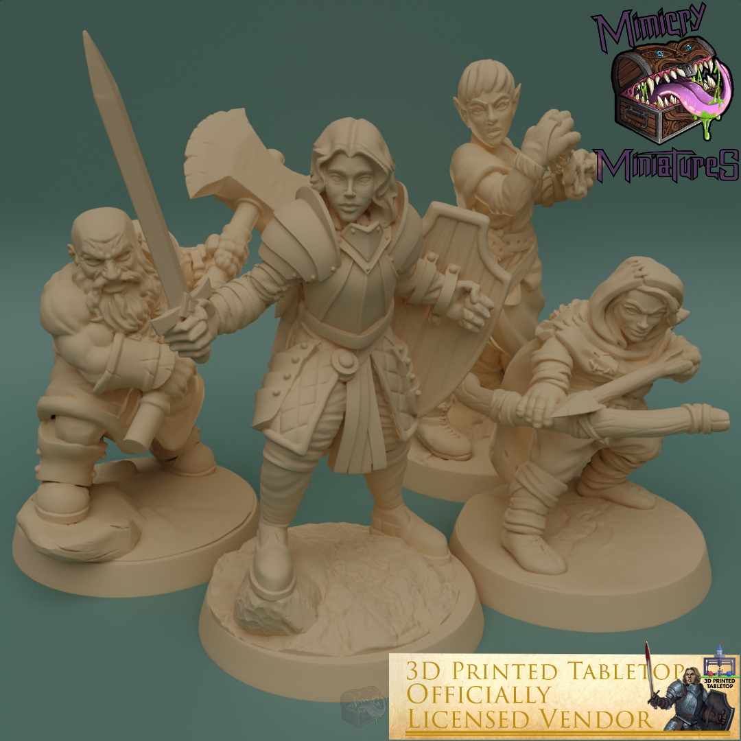 Adventurer Group 1 - The Lost Adventures from 3D Printed Tabletop image 0